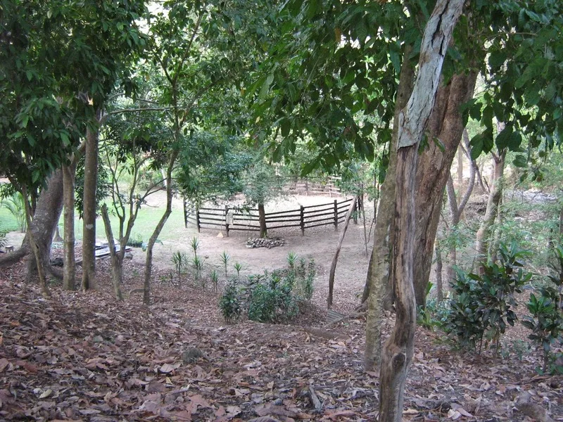 Land For Sale in Tambor