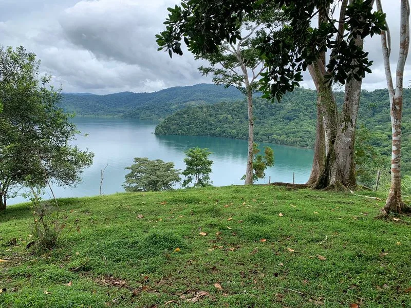 Land For Sale in Puerto Jimenez