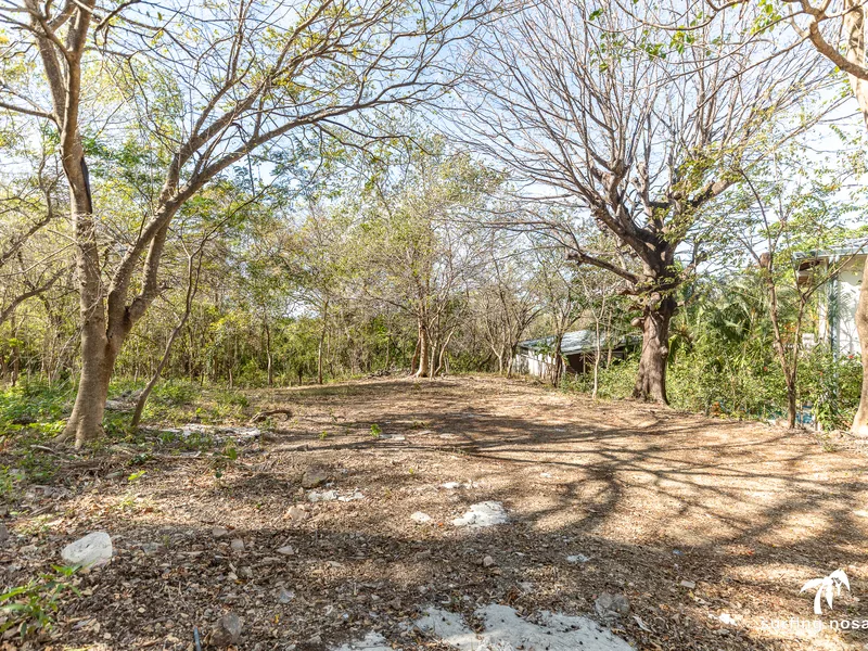 Land For Sale in Nosara