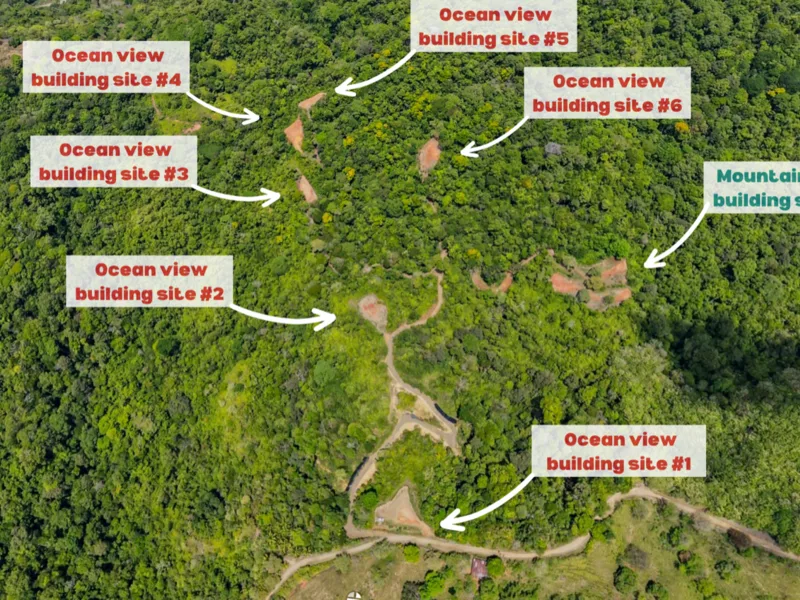 Land For Sale in Ojochal