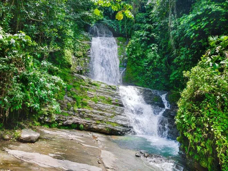 Land For Sale in Dominical