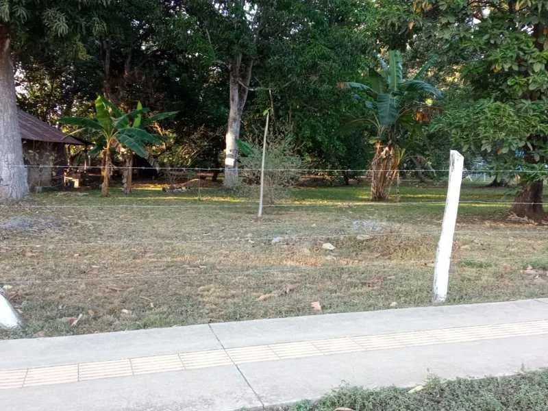 1 Bed Land For Sale in Orotina