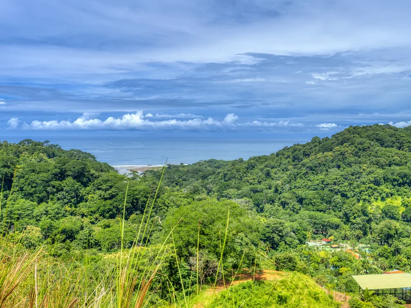 Communities For Sale in Dominical