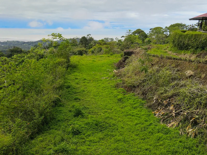 Land For Sale in Ojochal