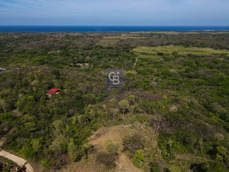Land For Sale in Junquillal