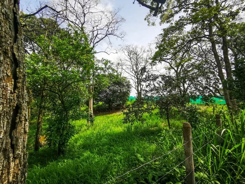 Land For Sale in La Garita