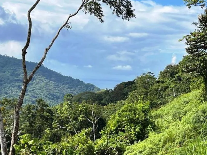 Land For Sale in Dominical