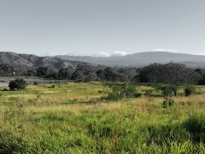 Land For Sale in Atenas