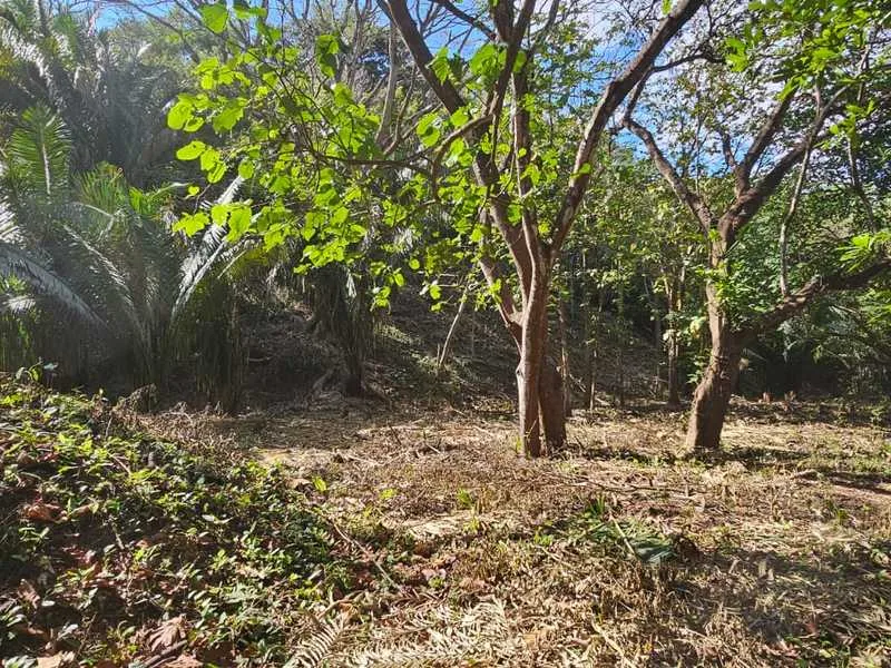 Land For Sale in Samara