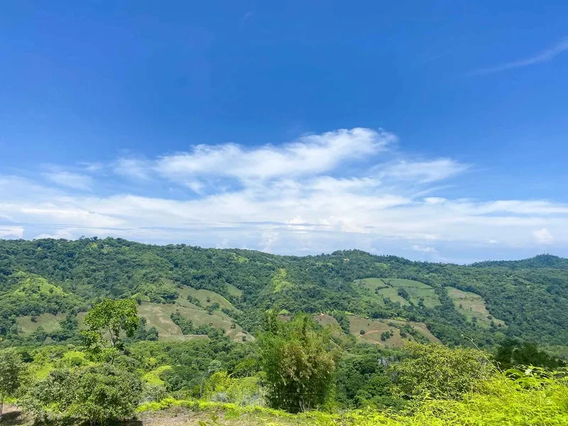 Land For Sale in Dominical
