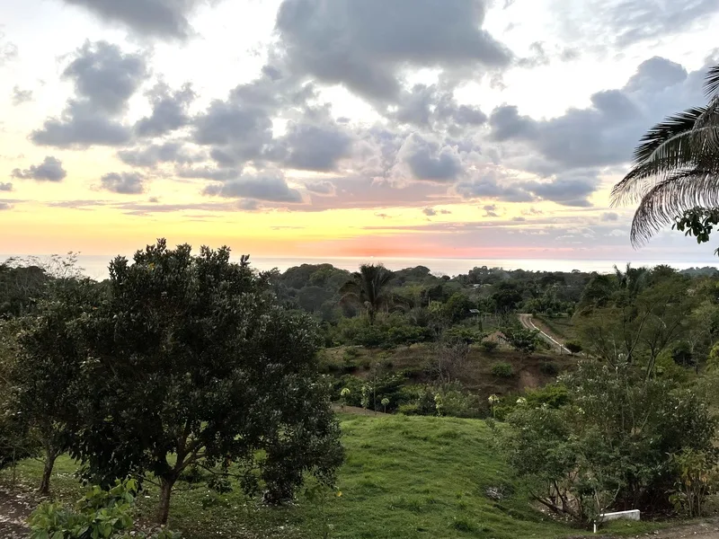 Land For Sale in Uvita