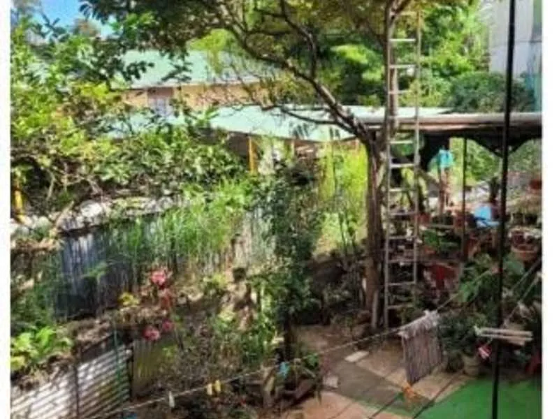 9 Bed Single Family Homes For Sale in San Pedro — photo 4
