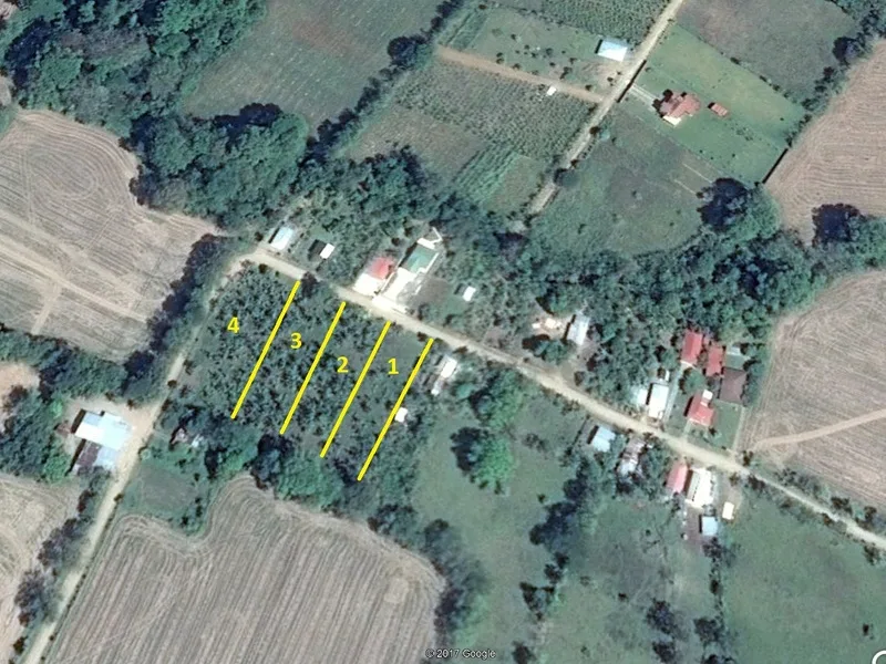 Land For Sale in Ciudad Cortes