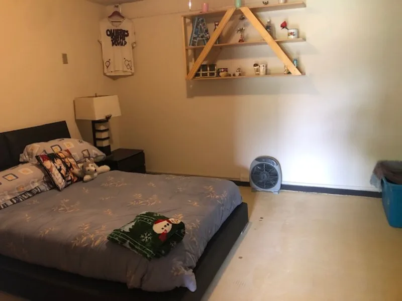 4 Bed Single Family Homes For Sale in Los Yoses