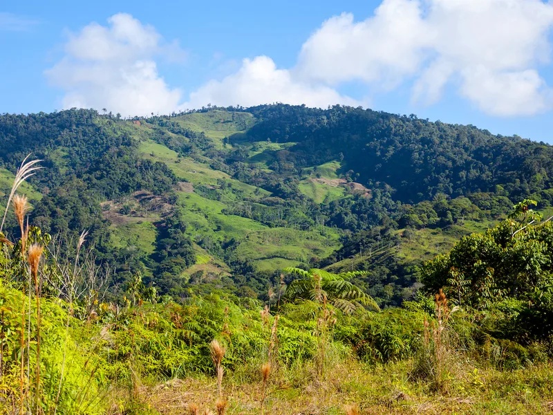 Land For Sale in Perez Zeledon