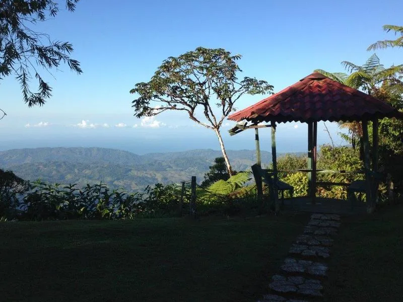 3 Bed Single Family Homes For Sale in Dominical