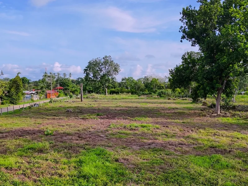 Land For Sale in Ojochal