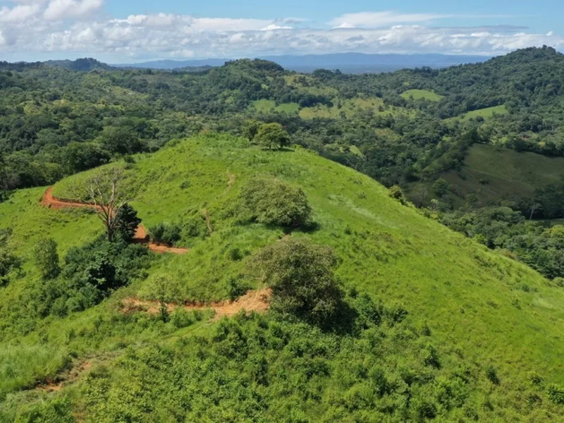2 Bed Single Family Homes For Sale in Ojochal