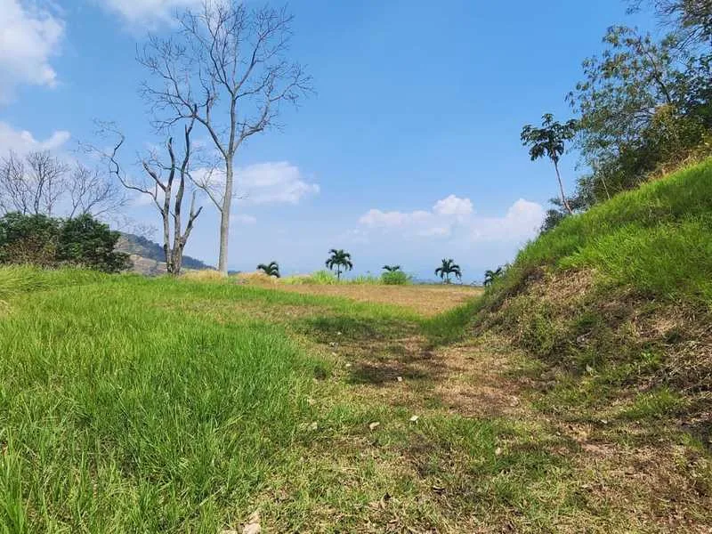 Land For Sale in Atenas