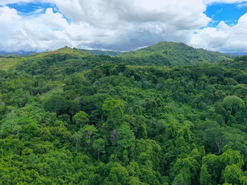 Land For Sale in Parrita