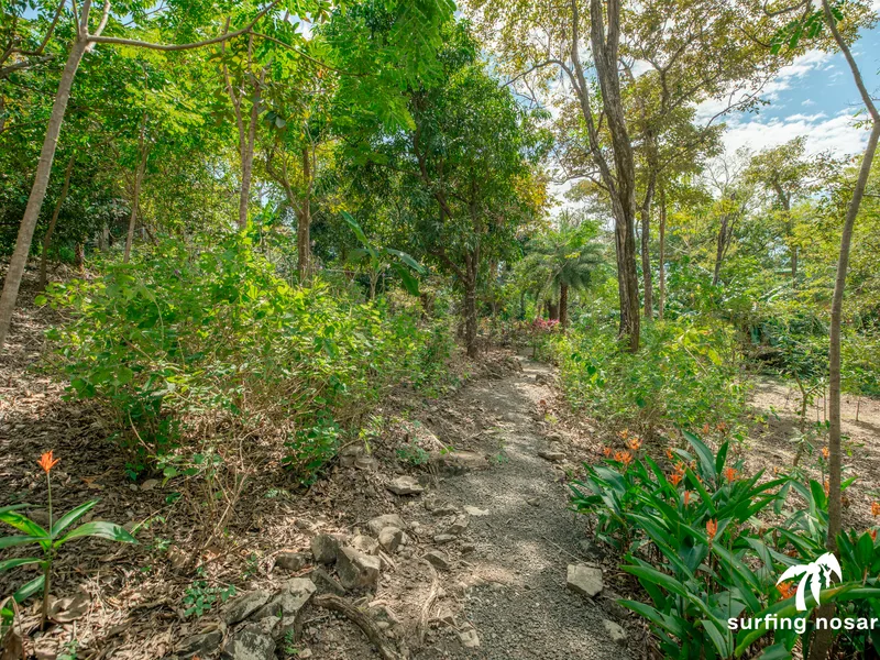 Land For Sale in Nosara