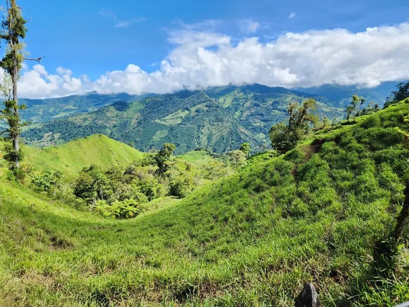 Land For Sale in Perez Zeledon — photo 3