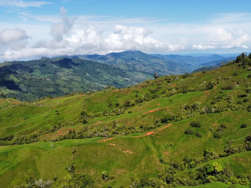 Land For Sale in Perez Zeledon — photo 4