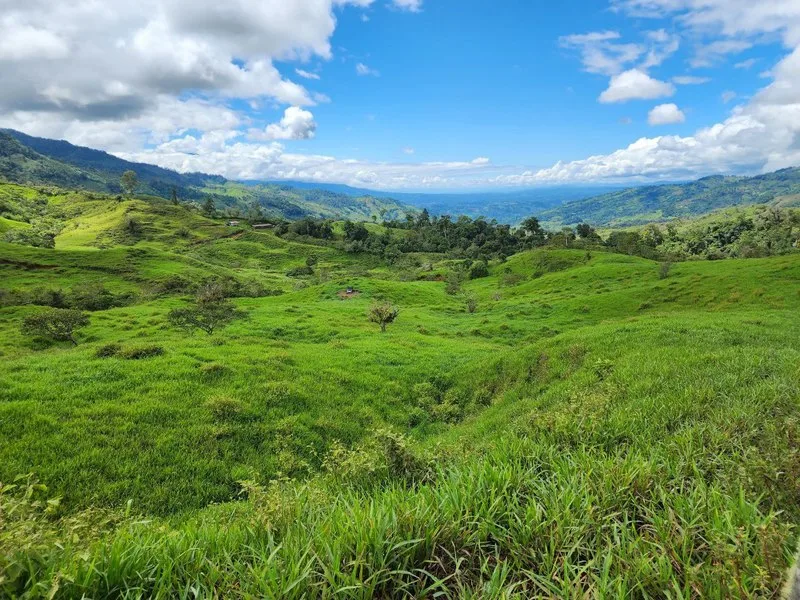 Land For Sale in Perez Zeledon — photo 5