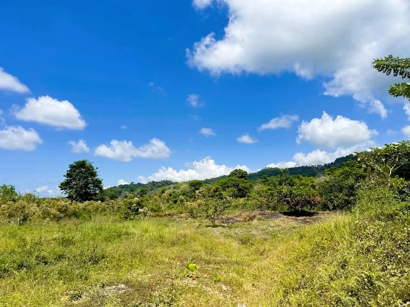 Land For Sale in Perez Zeledon — photo 3