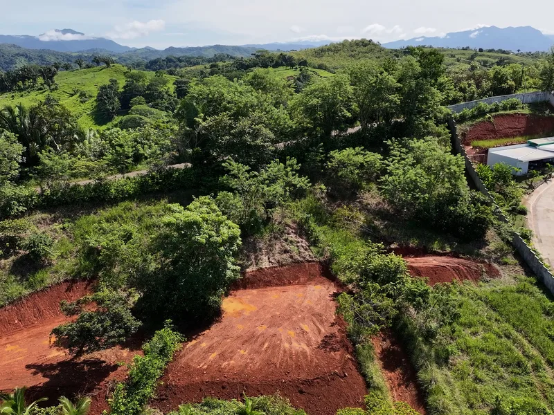 Land For Sale in Playa Bandera