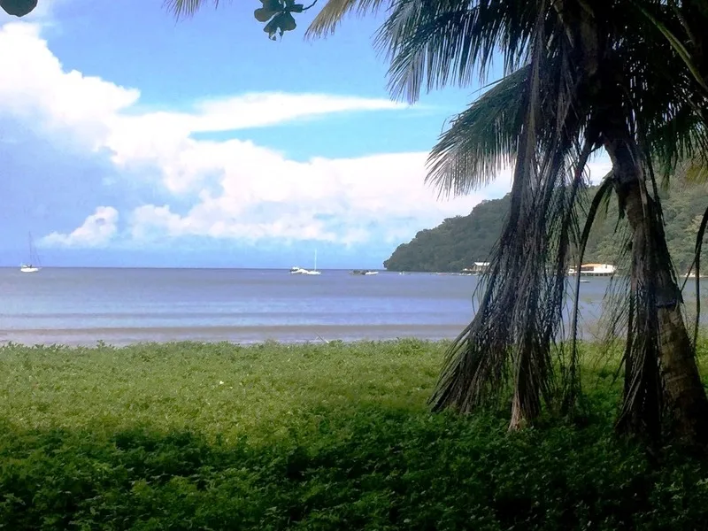 Land For Sale in Tambor