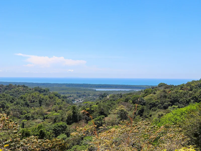 Land For Sale in Ojochal