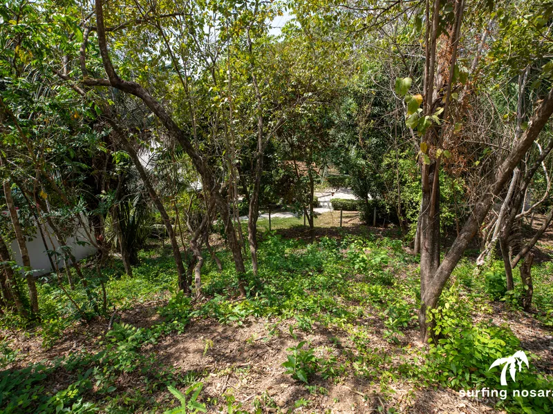 Land For Sale in Nosara