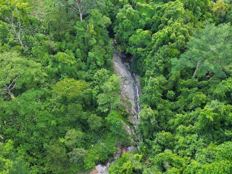 Land For Sale in Dominical