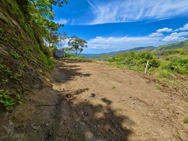 Land For Sale in Atenas