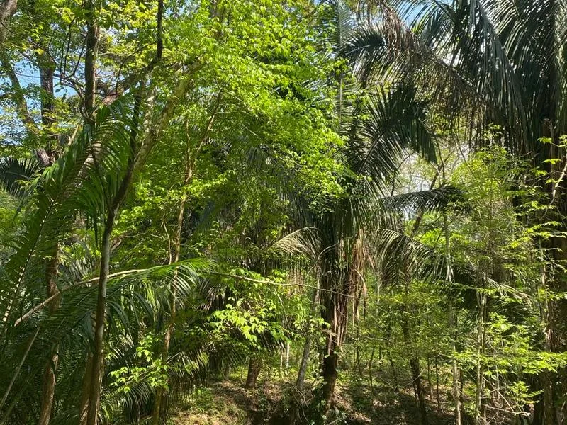 Land For Sale in Santiago