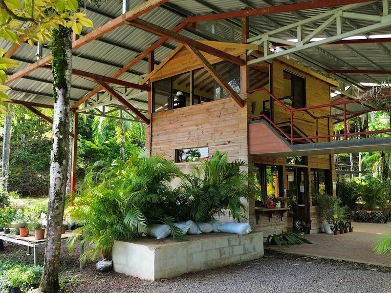 Commercial For Sale in Ojochal