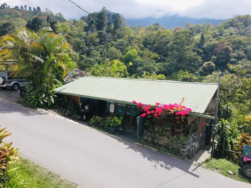1 Bed Commercial For Sale in Perez Zeledon — photo 5