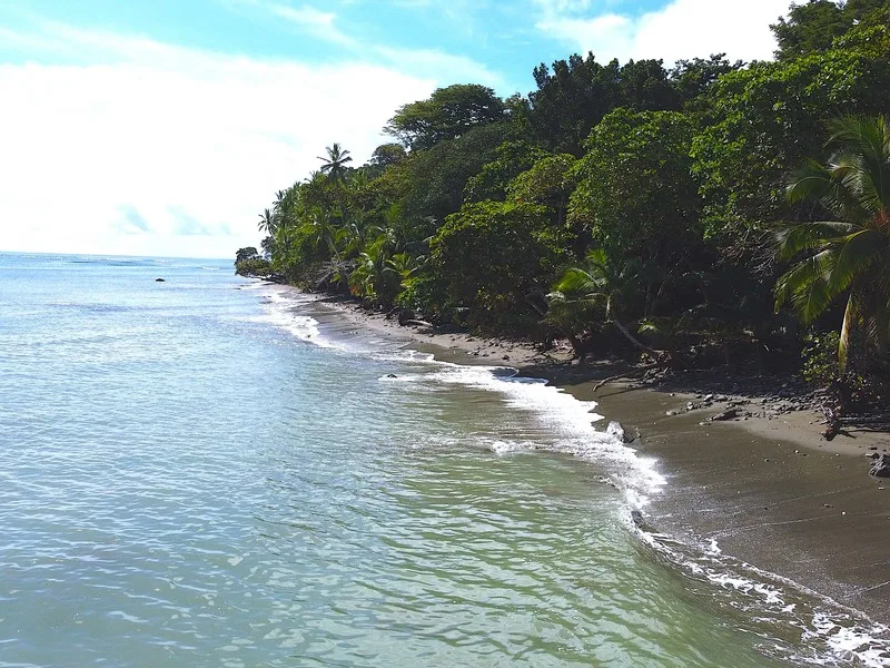 3 Bed Single Family Homes For Sale in Puerto Jimenez
