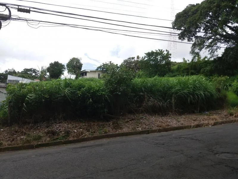 Land For Sale in Montes de Oca — photo 4