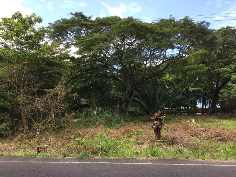 Land For Sale in Tambor