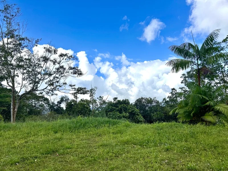 Land For Sale in Uvita
