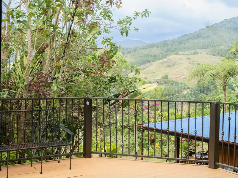 3 Bed Single Family Homes For Sale in Perez Zeledon — photo 2