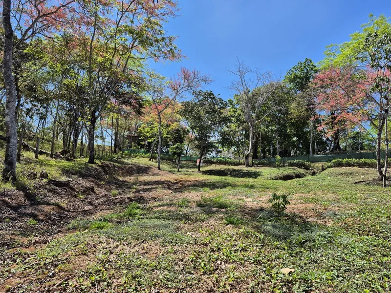 Land For Sale in Manzanillo