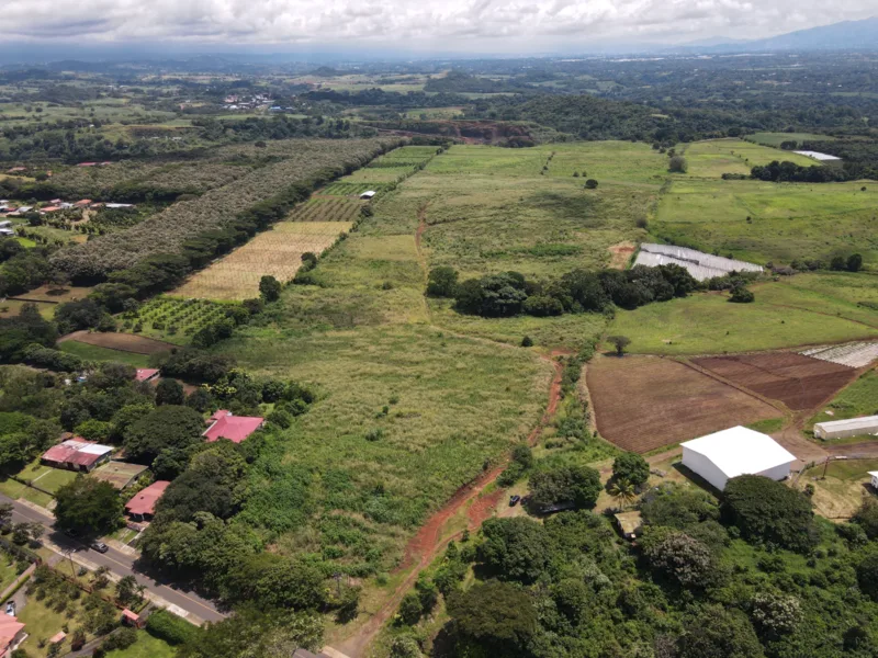 Land For Sale in Atenas