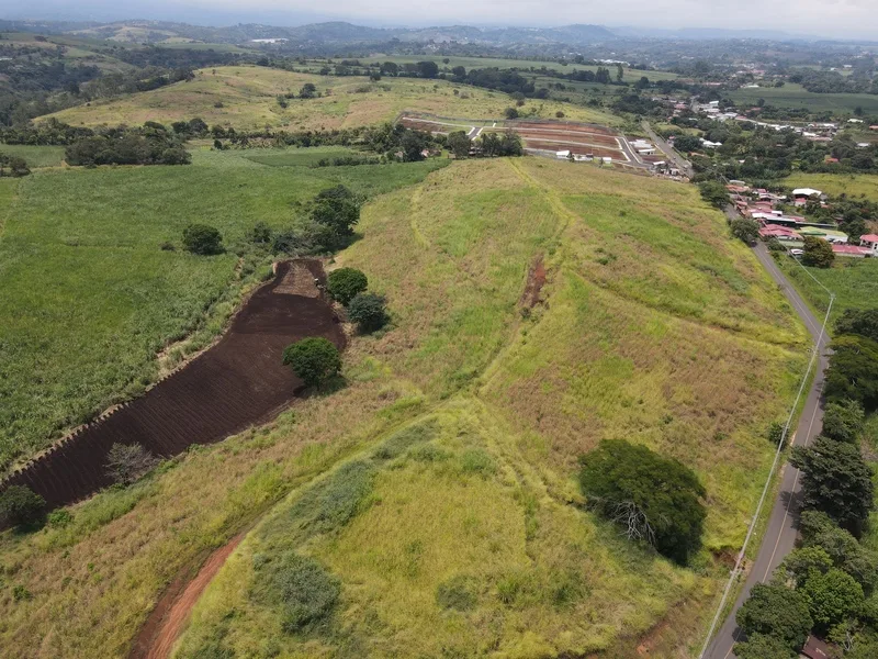 Land For Sale in Grecia