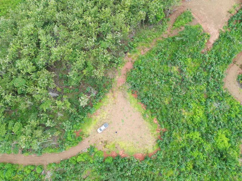Land For Sale in Parrita