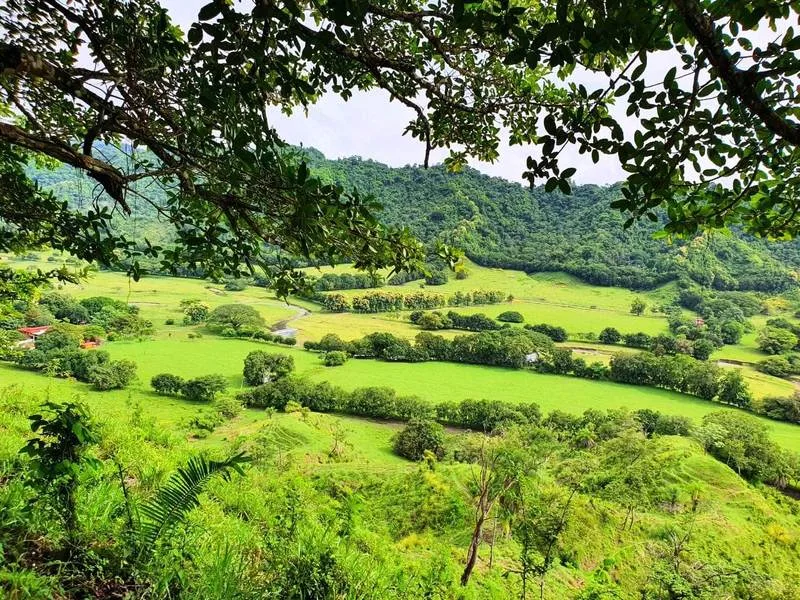 8 Bed Land For Sale in Paquera