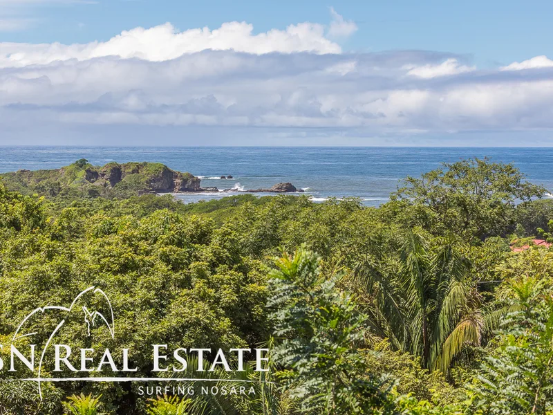 8 Bed Single Family Homes For Sale in Nosara