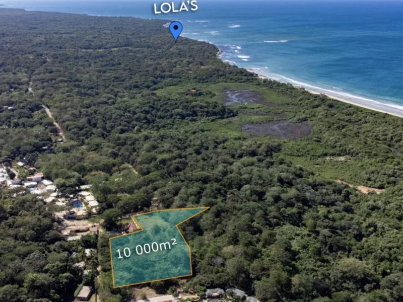 Land For Sale in Avellanas